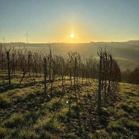 Zuhause Bei Ellen * Sulzheim (Rhineland-Palatinate)