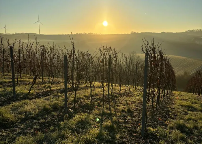 Zuhause Bei Ellen * Sulzheim (Rhineland-Palatinate)